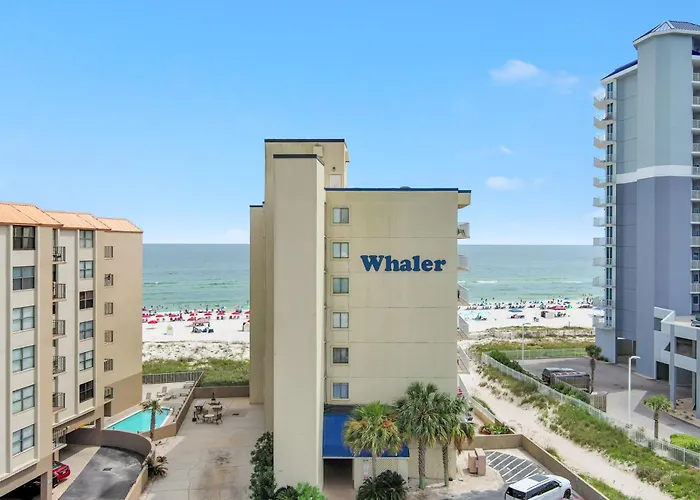 Whaler 6d *